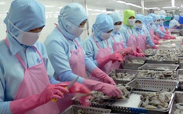 Quần áo bảo hộ ngành thực phẩm cho công nhân lao động
